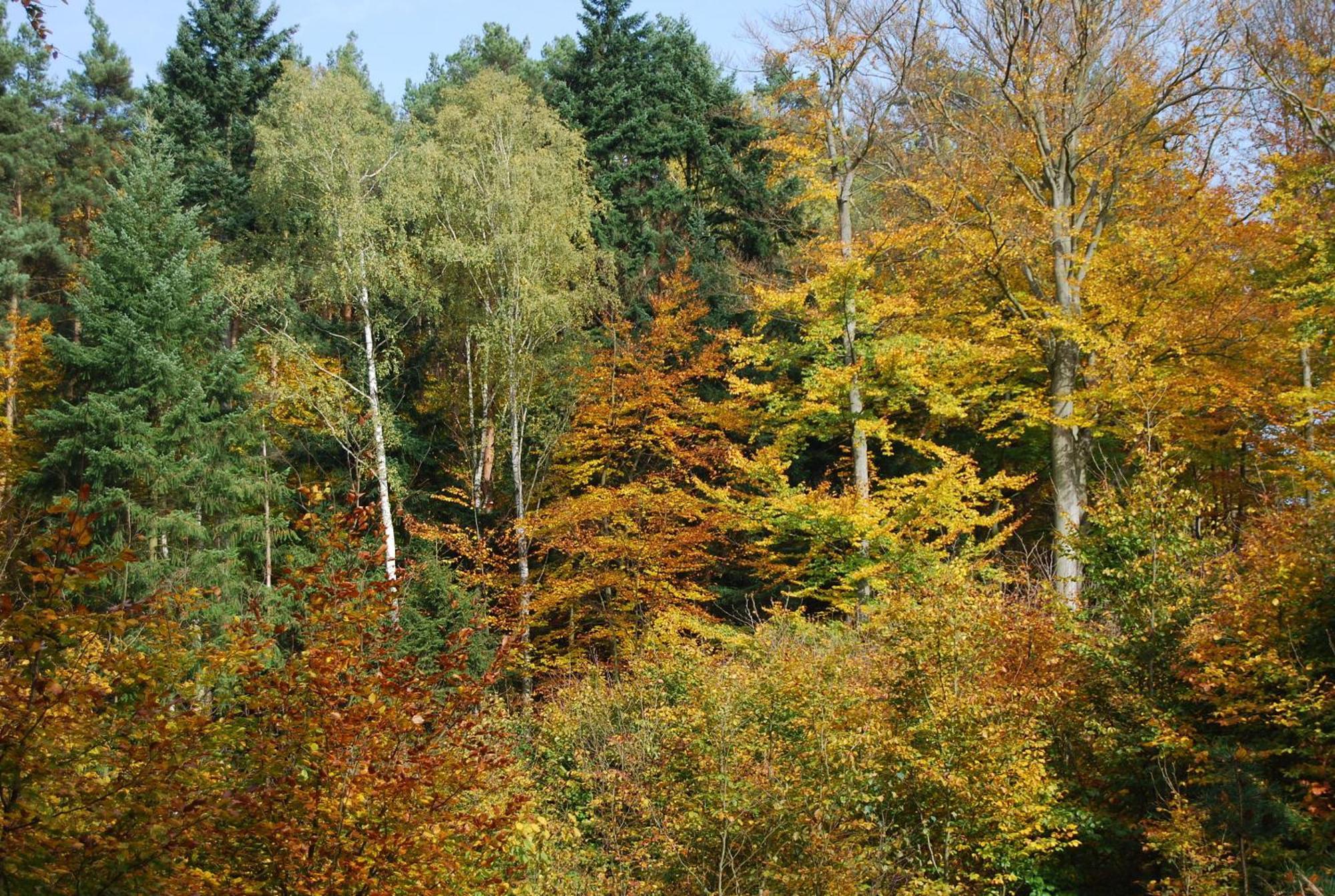 Osrodek Wypoczynkowy Laguna Lubniewice Exteriér fotografie